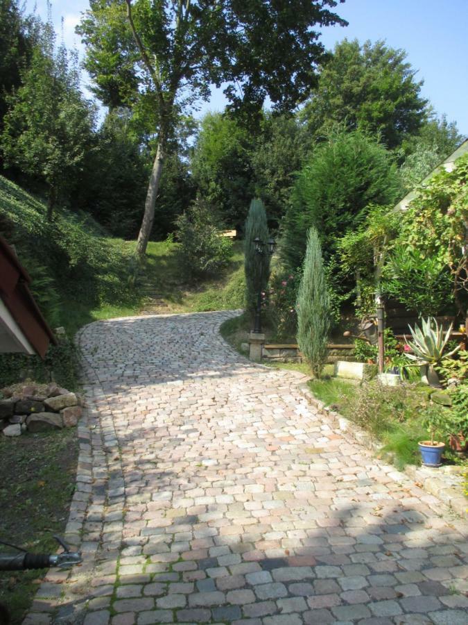 Stadtoase Meißen Zewnętrze zdjęcie